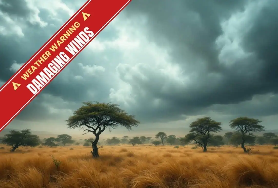 Weather Update: Friday 28 August 2026 - Saffarazzi SAWS weather warning: damaging winds across South Africa, 28 August 2026