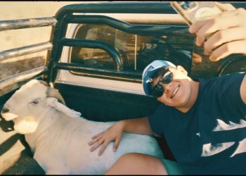 Chris Steyn - Helemal (Amptelike Musiekvideo)