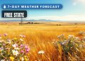 FREE STATE 7-Day Weather Forecast - Saffarazzi Free State 7-day weather forecast 27 September - 3 October 2026