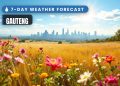 GAUTENG 7-Day Weather Forecast - Saffarazzi Gauteng 7-day weather forecast 27 September - 3 October 2026