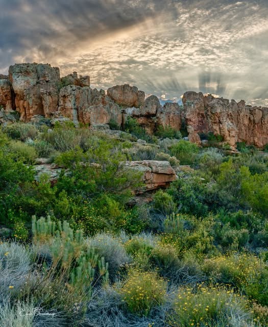 Weather post shared in the Severe Weather and Information Centre SA group