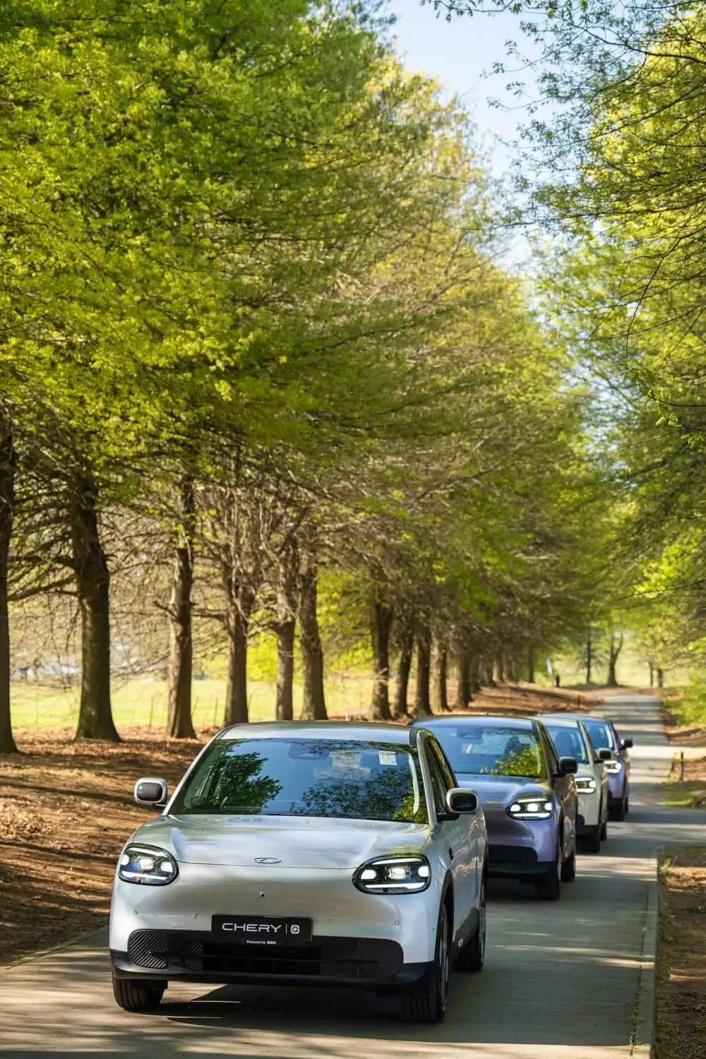 Chery Q convoy driving along a tree-lined road - Saffarazzi Chery Q convoy driving along a tree-lined road