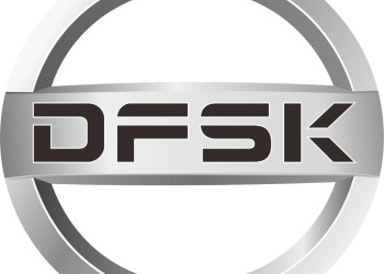 DFSK brand logo in silver circular badge.