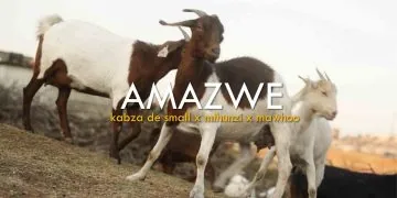 Kabza De Small & Mthunzi - Amazwe feat. MaWhoo (Official Music Video) - Saffarazzi Kabza De Small & Mthunzi - Amazwe feat. MaWhoo (Official Music Video)
