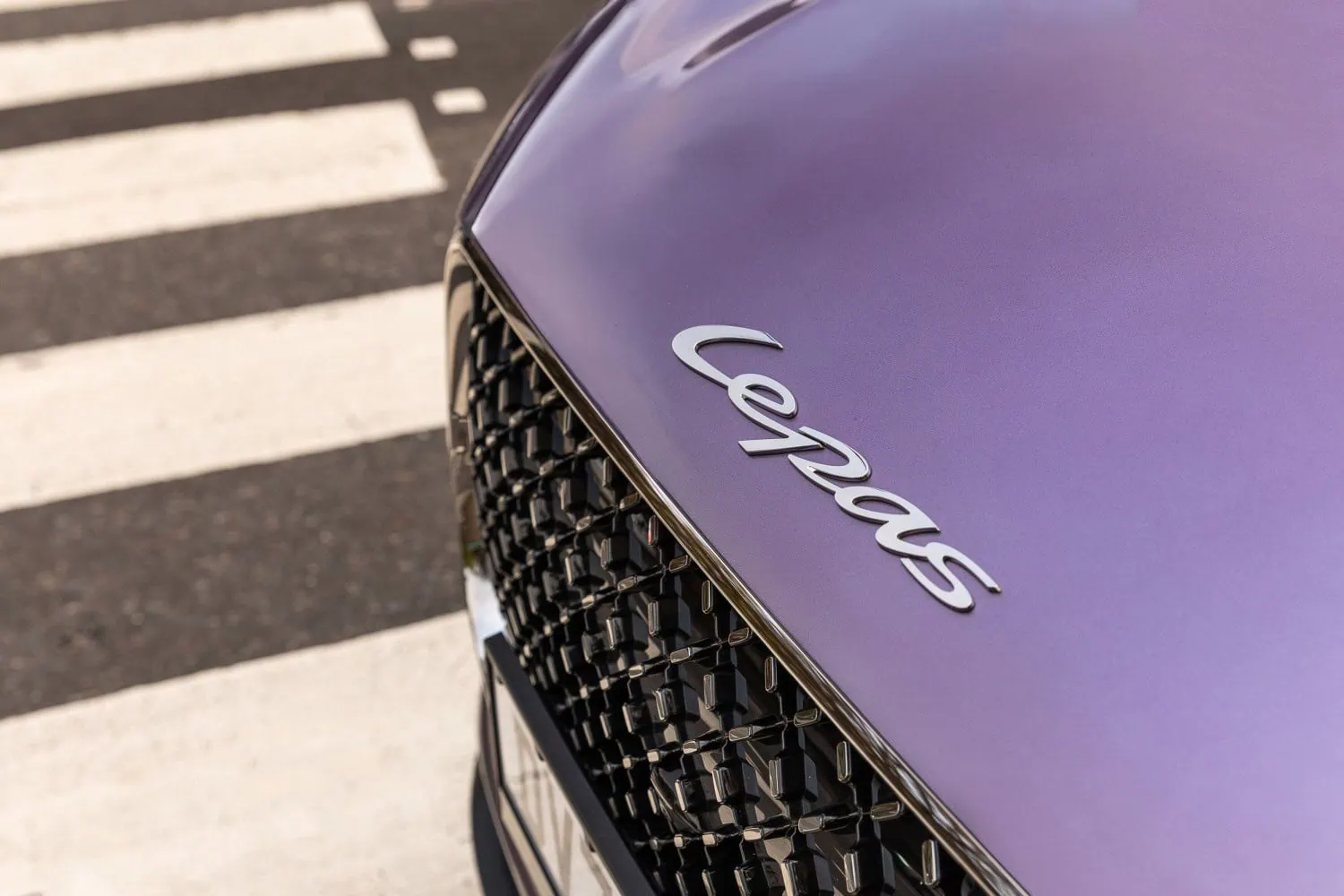LEPAS badge detail - Saffarazzi LEPAS bonnet badge and grille close-up.