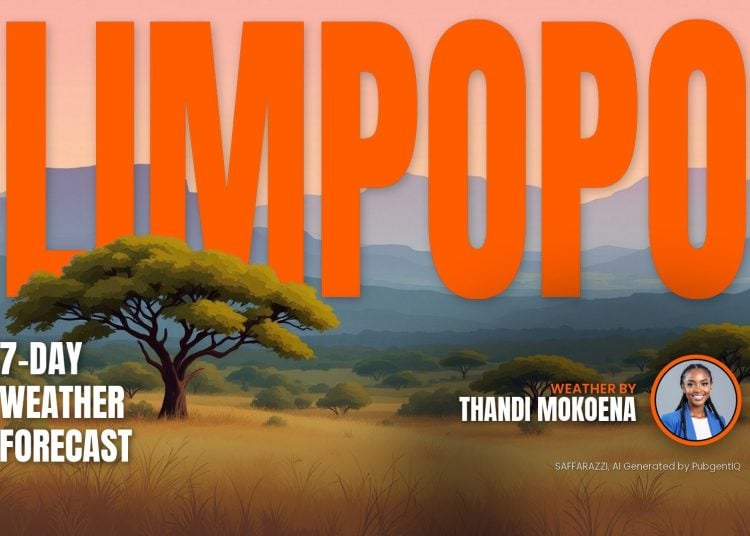 Limpopo 7-day weather forecast: magazine-style cover by Thandi Mokoena