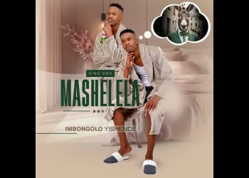 Mashelalela ANGISAYI NDAWO FT SNE NTULI