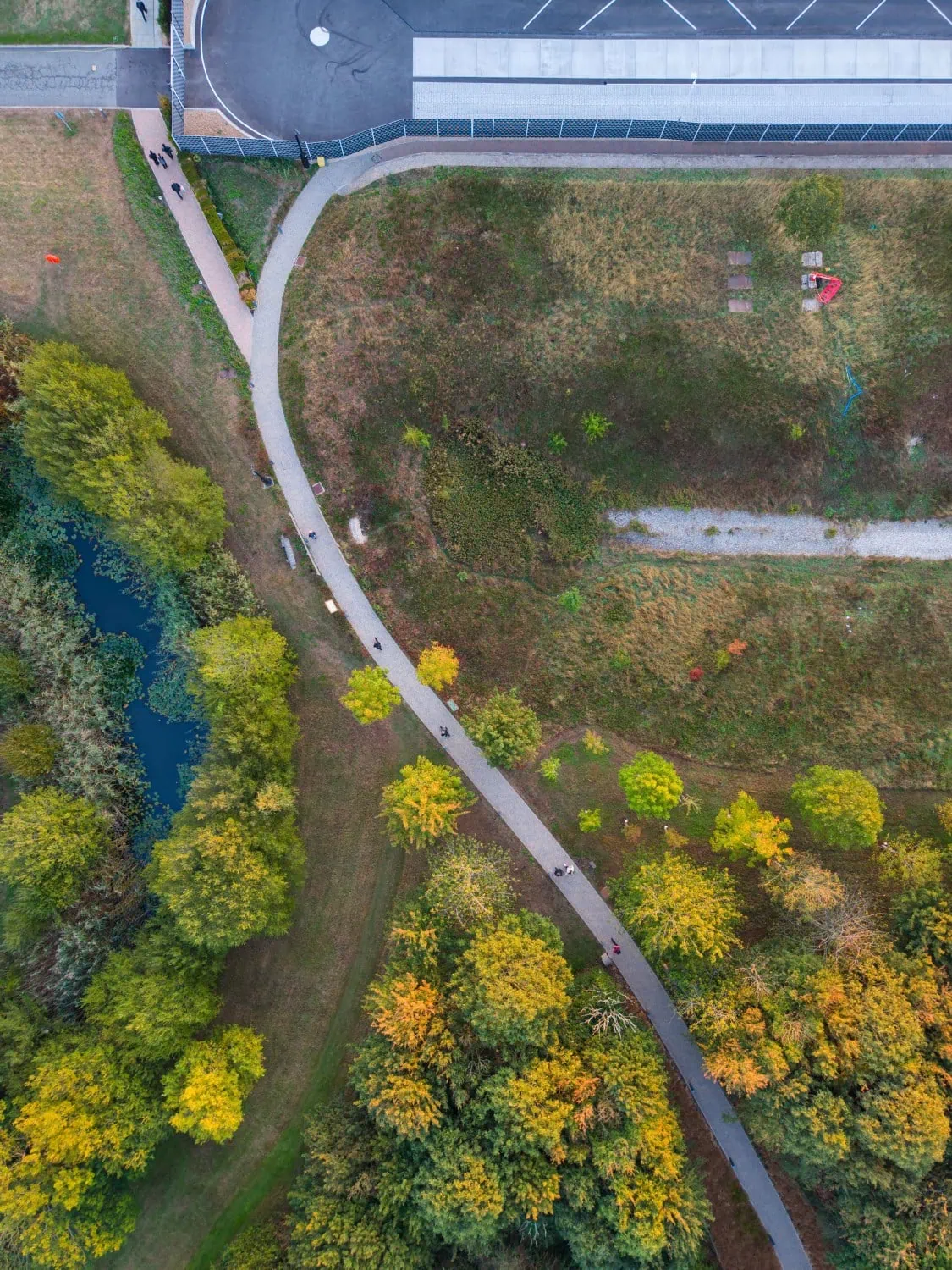 Footpath through planted woodland - Saffarazzi Overhead view of footpath and trees near Rolls-Royce plant.