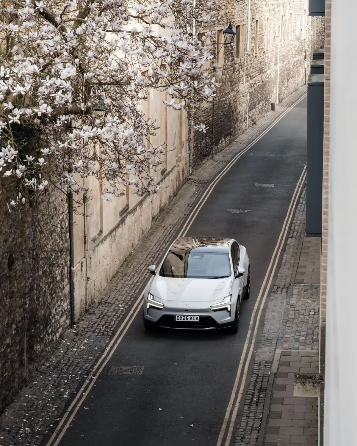 Polestar 4 in narrow lane - Saffarazzi Polestar 4 on a narrow lane under magnolia blossom.