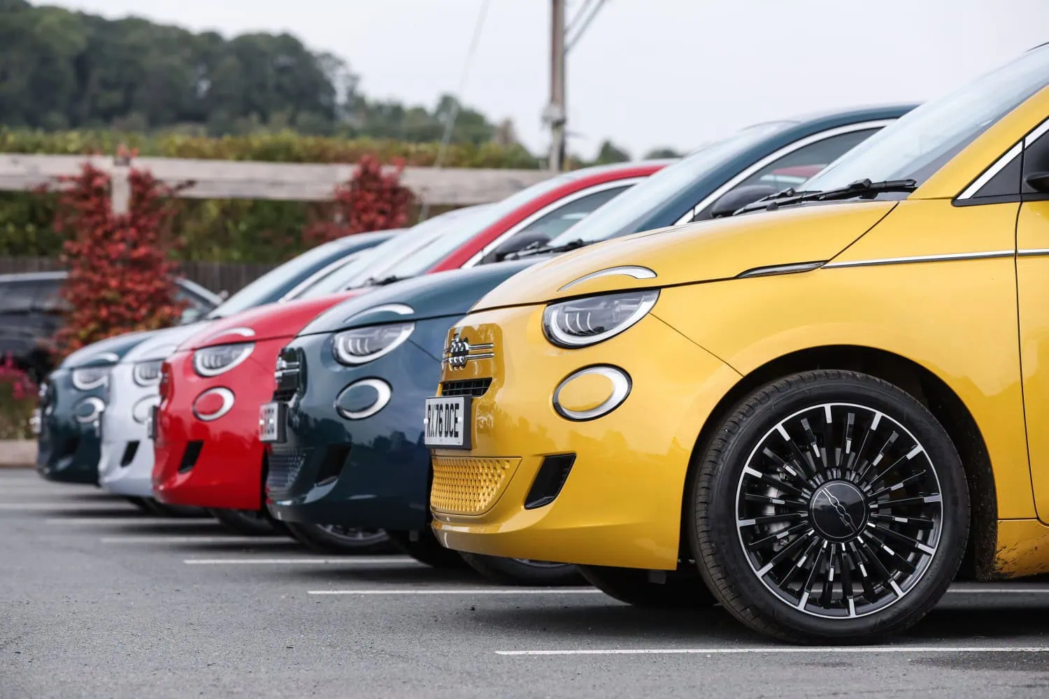 Fiat 500 Hybrid lineup - Saffarazzi Row of Fiat 500 Hybrid hatchbacks in different colours.