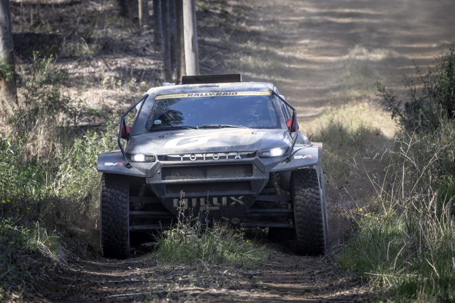 Toyota GR Hilux IMT EVO head-on on forest track - Saffarazzi Toyota GR Hilux IMT EVO head-on on forest track
